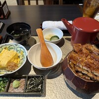炭焼きうなぎ・かしわ 登河 - 