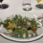 レフェルヴェソンス - 