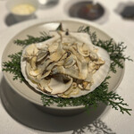 レフェルヴェソンス - 