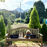 Forest Garden KOMONO - 入口の近くにあるベンチ