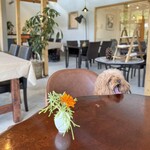 Forest Garden KOMONO - 店内は広々