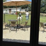 Forest Garden KOMONO - 店内でランチしながらドッグランが眺められるよ