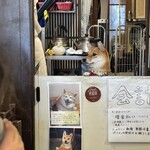 甘味処 柴ふく - 