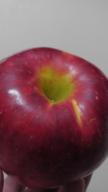 渡部りんご園 - 会津長野（その他）の写真