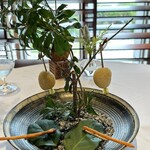 リストランテKubotsu - 