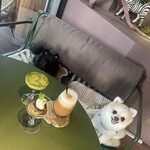 CA6DEN 六本木店 - 