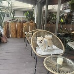 CA6DEN 六本木店 - 