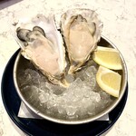 Rigo SPANISH ITALIAN - 