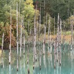 まるます - ここ見に行った帰り。