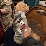 軽井沢 葡萄房 - 