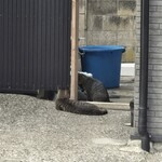 魚屋の磯料理 まるとし - 