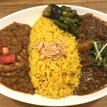 レインボウスパイス - ランチタイムダブルカリー大盛り（チキンマサラ、スパイシーポークビンダルー）