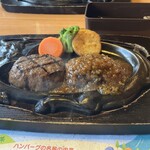 さわやか 静岡池田店 - 