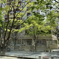 大徳壽TOKYO 六本木けやき坂 - 