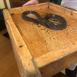 日本料理 梅林 - 