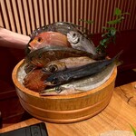 鯛めし 銀まる - 