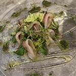 FUji Italiano - 