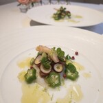 イル コラッツィエーレ - 