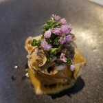 イル コラッツィエーレ - 