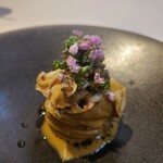 イル コラッツィエーレ - 