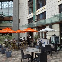 grigio la tavola - 