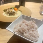 ブラッスリー 航 - チキンのフリカッセ+ 赤ワインライス