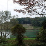 鬼怒川 竹やぶ - いい景色です