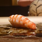 鮨 むらやま - 車海老