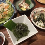 森の賢者 - 海ぶどう