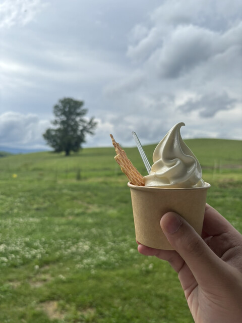 美瑛放牧酪農場 - 美馬牛（カフェ）の写真