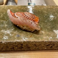寿し 京町堀 佐藤 - 