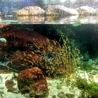 オーシャンカフェ_1