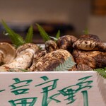 321285393 - 2025.9 北海道上富良野産松茸