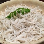 島之内 一陽 - しらすご飯