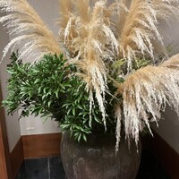 山映 - 