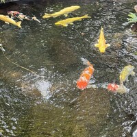 炭焼うな富士 白壁別邸 -  炭焼うな富士 白壁別邸 -