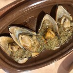 サイゼリヤ CoCoLo新潟店 - 