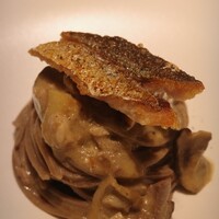 FARO - 