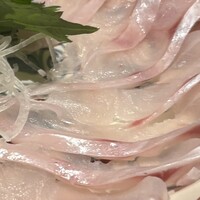 のど黒屋 新橋店 - のどぐろの薄造り、ヤバい！