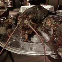 ウルフギャング・ステーキハウス 六本木 - 