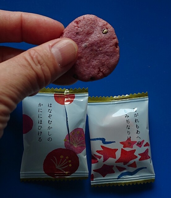 Ogura Sanso Saga Ochigakisha Maeten