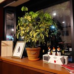 TRATTORIA IL PINGUINO