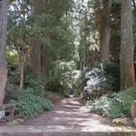 櫻休庵 別亭 凜 - 杉並木