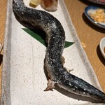 新橋 いっぱし - 特大秋刀魚‼️