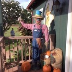 Kauai Coffee Company - 