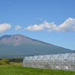 軽井沢ガーデンファームいちご園 - 四季折々の変化をお楽しみください