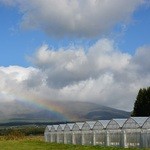 軽井沢ガーデンファームいちご園 - 四季折々の変化をお楽しみください