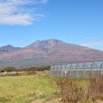 軽井沢ガーデンファームいちご園 - 四季折々の変化をお楽しみください