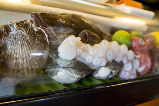 酒処　とくとく - 天童（居酒屋）の写真