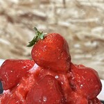 HAPPY MOMENT PETITE - 